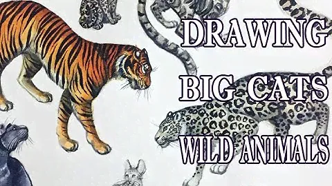 PAINTING BIG CATS & FELINES l Wild Animals Drawing and watercolor l Tiger leopard cheetah panther