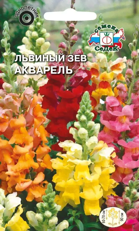 Цветок Львиный зев Акварель (смесь)-0