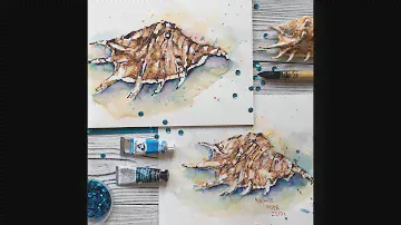 Мастер класс "Ракушка, часть 1", акварель