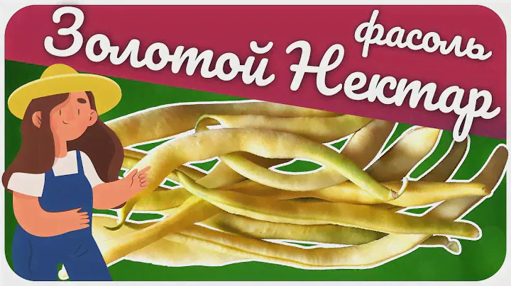Спаржевая фасоль ЗОЛОТОЙ НЕКТАР