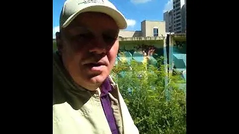 Графика душ, акварели сознания, краски содержат твоё ожидание #поэзия #импровизация #психология