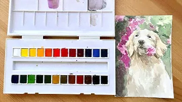 Sennelier 24 Watercolours Set (Unboxing + Swatches + Painting)