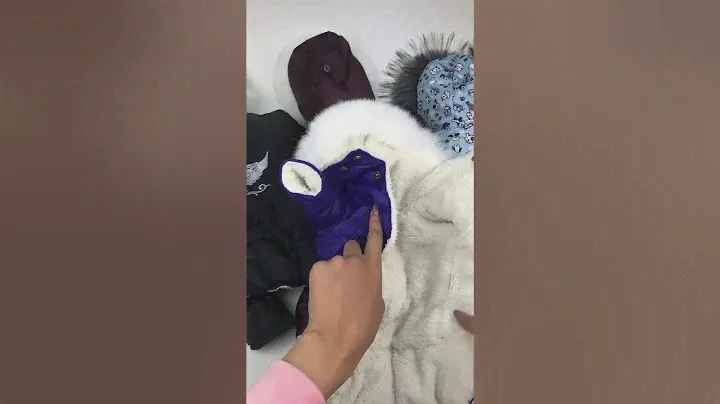 Одежда для собак TM Dogs Bomba. Зимние комбинезоны на меху и синтепоне